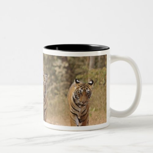 Royal Bengal Tigers on the track Ranthambhor Two_Tone Coffee Mug