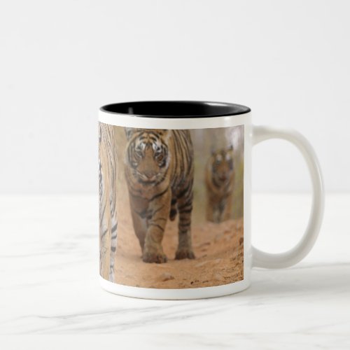 Royal Bengal Tigers walking along the track Two_Tone Coffee Mug
