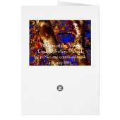 Royal Birch Cards (Back)