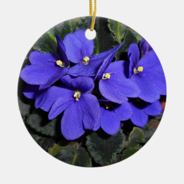 Royal Blue African Violet Ceramic Ornament (Front)