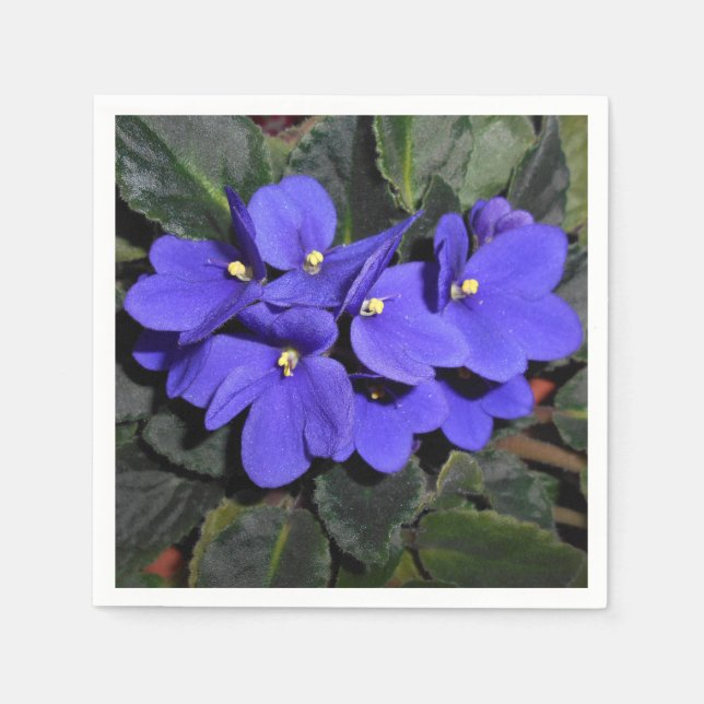 Royal Blue African Violet Napkins (Front)
