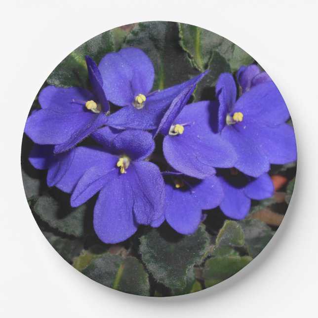 Royal Blue African Violet Paper Plates (Front)