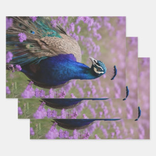 Royal Blue: Blue Peacock In Lavender Field, Wrapping Paper Sheets