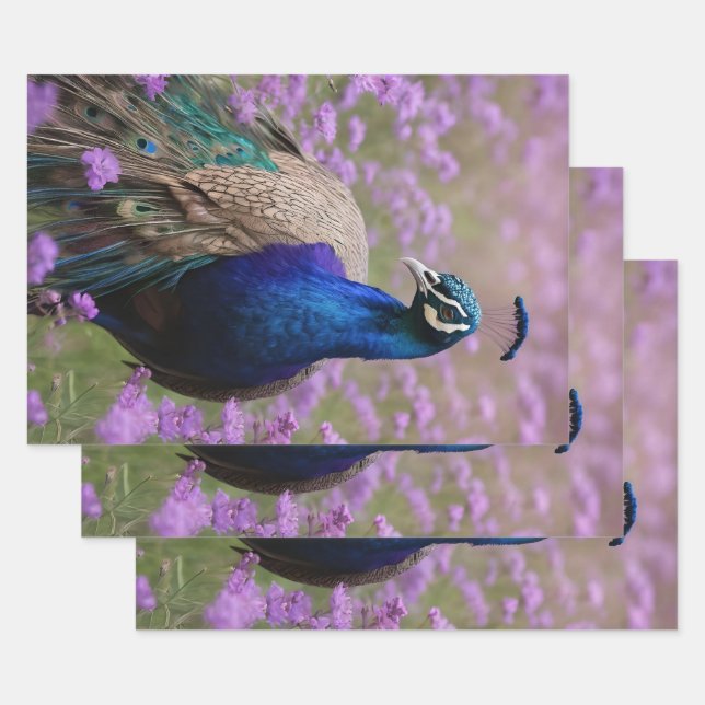Royal Blue: Blue Peacock In Lavender Field, Wrapping Paper Sheets (Set)
