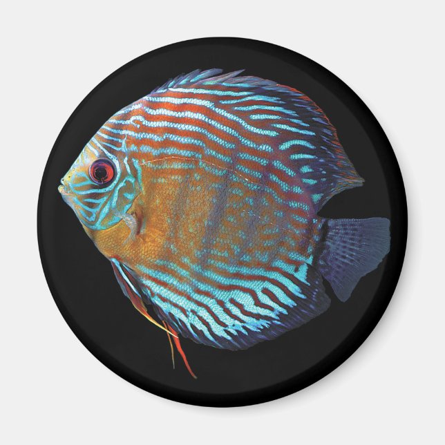 Royal Blue Discus Magnet (Front)