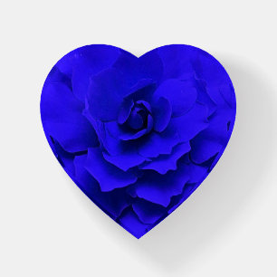Royal Blue Double Begonia Paperweight