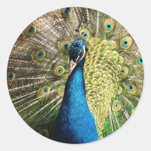 Royal Blue Peacock Classic Round Sticker