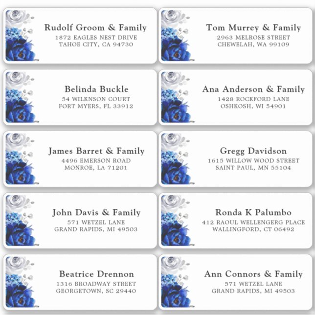 Royal Blue White Silver Wedding Guest Address Stic Sticker (Front)