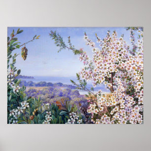 Royal Botanic by Marianne North Poster