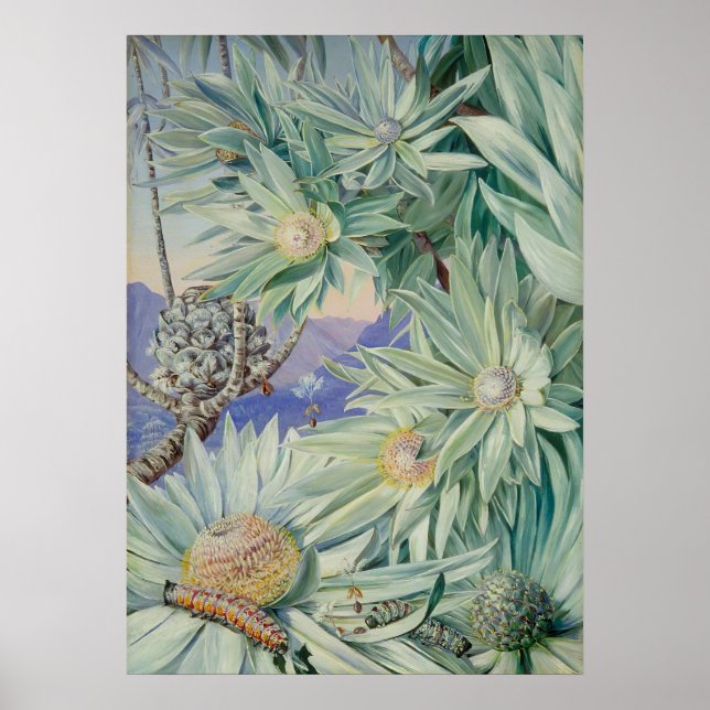 Royal Botanic Garden by Marianne North Poster (Front)