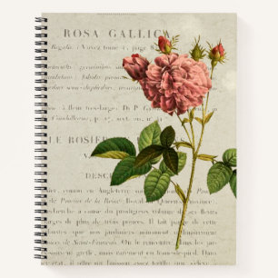 Royal Botanicals: Rosa Gallica Regalis Notebook