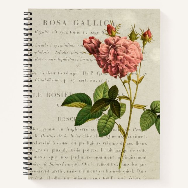 Royal Botanicals: Rosa Gallica Regalis Notebook (Front)