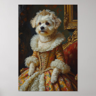 Royal Coton de Tulear Portrait Poster