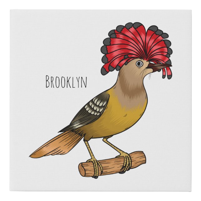 Royal flycatcher bird cartoon illustration  faux canvas print (Front)