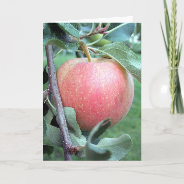 Royal Gala Apple Card (Front)