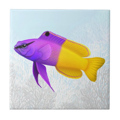 Royal Gramma Coral Reef Fish Tile