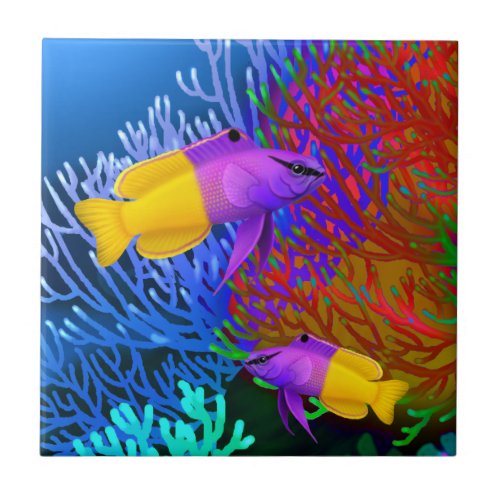 Royal Gramma Coral Reef Fishes Tile