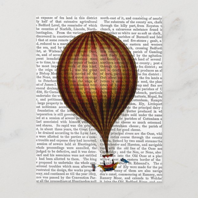 Royal Nassau Balloon Hot Air Balloon Postcard (Front)