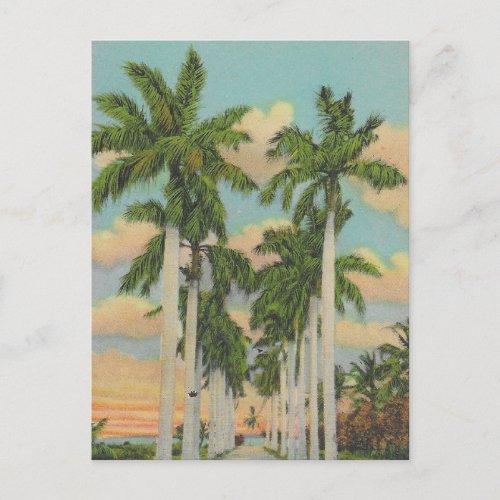 Royal Palms of Florida Postcard