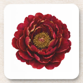 Royal Persian Gold Filigree | Luxury Botanical Beverage Coaster