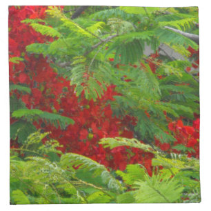 Royal Poinciana Cloth Napkin