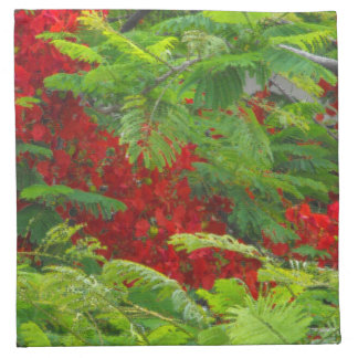 Royal Poinciana Cloth Napkin
