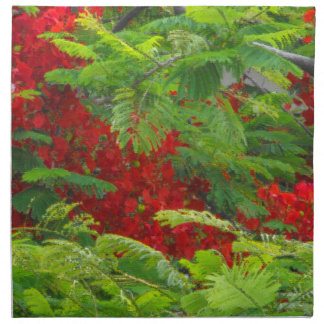 Royal Poinciana Cloth Napkin