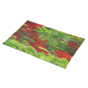 Royal Poinciana Cloth Placemat