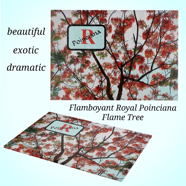 Royal Poinciana Flamboyant Flame Tree Red Black Cutting Board (Creator Uploaded)