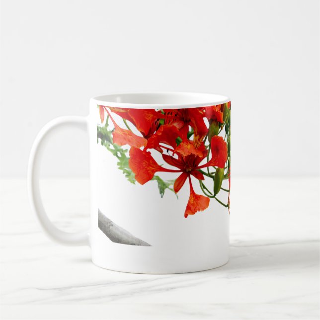 Royal Poinciana,Gulmohar Floral Classic Mug  (Left)