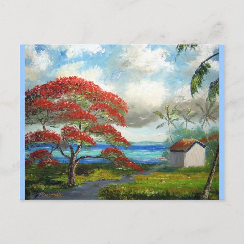 Royal Poinciana  Palm Trees Postcard