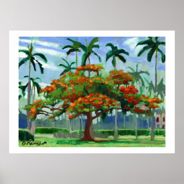 Royal Poinciana poster (Front)