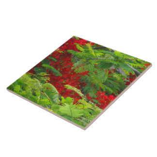 Royal Poinciana Tile