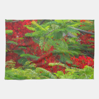 Royal Poinciana Towel