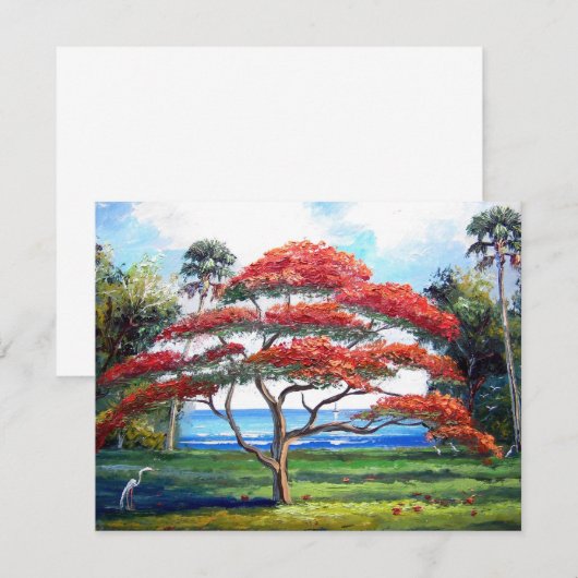 Royal Poinciana Tree Art (Front/Back)