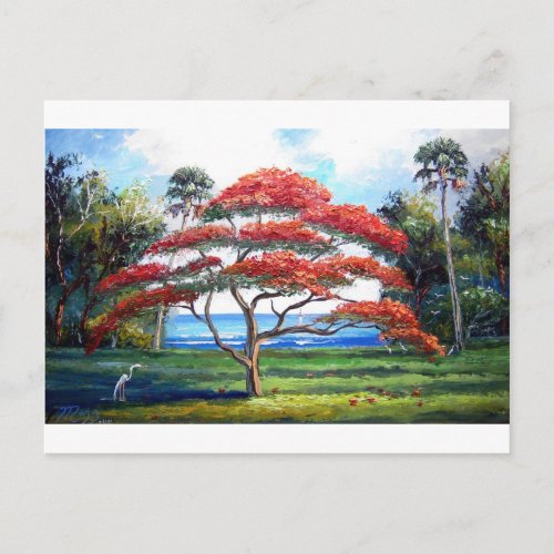 Royal Poinciana Tree Art Postcard
