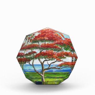 Royal Poinciana Tree Mazz Acrylic Award