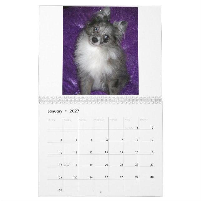 Royal Pomeranians Calendar