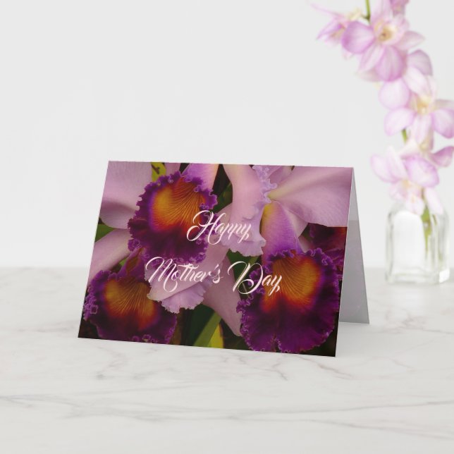 Royal Purple Cattleya Orchid Mother's Day Card (Orchid)