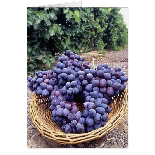 Royal Purple Grapes Cards (Front)