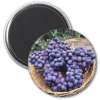 Royal Purple Grapes magnet