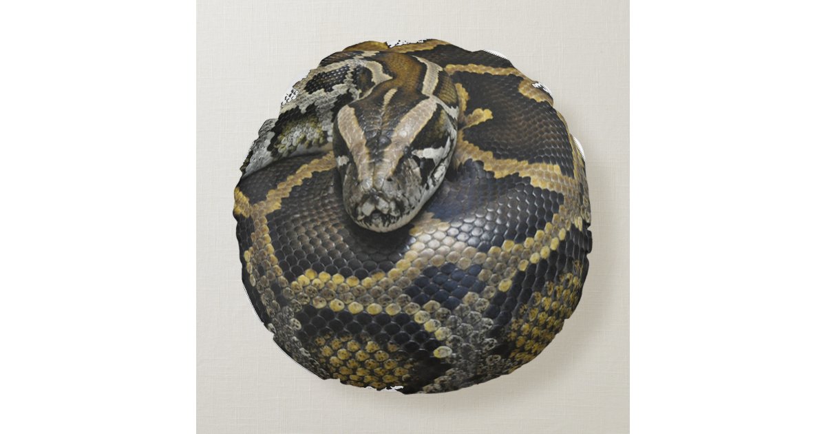 "Royal Python" design products Round Pillow Zazzle