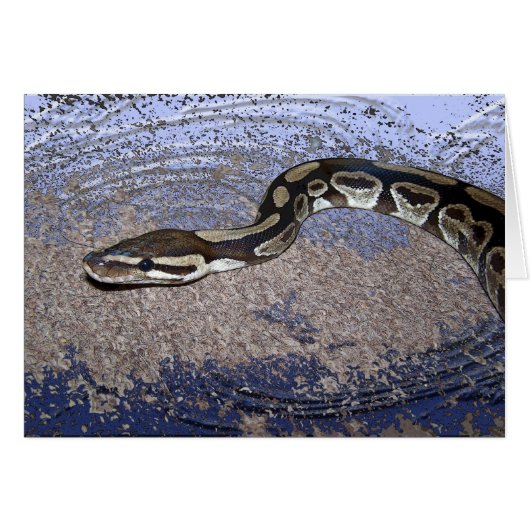 Royal Python or Ball Python Cards (Front Horizontal)