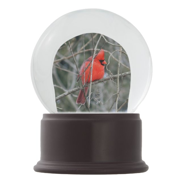 Royal Red Cardinal Snow Globe (Back)