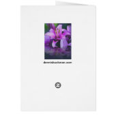 Royal Reflections (Back)