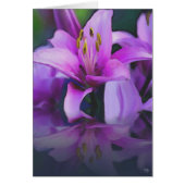 Royal Reflections (Front)