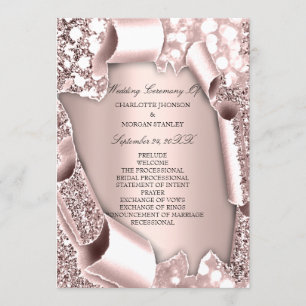 Royal Rose Blush Pink Frame 3D Program