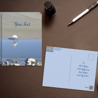 Royal Spoonbill Bird Custom Postcard