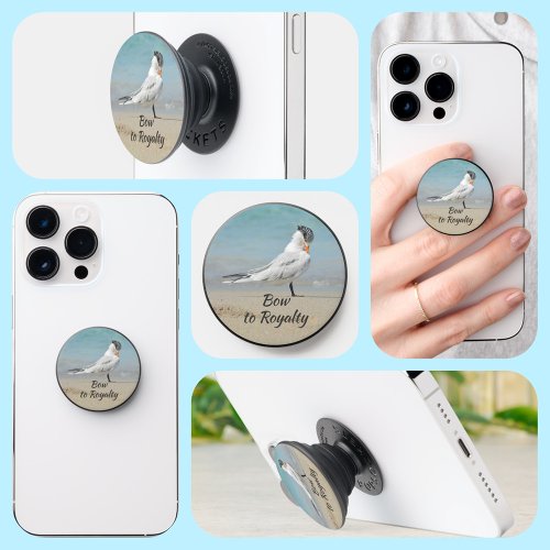 Royal Tern Bow to Royalty Funny Beachy PopSocket