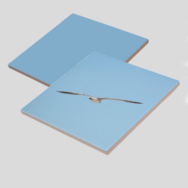 Royal Tern in Flight Blue Sky Coastal Ceramic Tile (1 of 7 coordinating bird in flight coastal sky blue ceramic tiles)